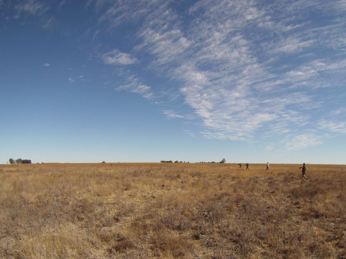 South Africa Bird Hunting