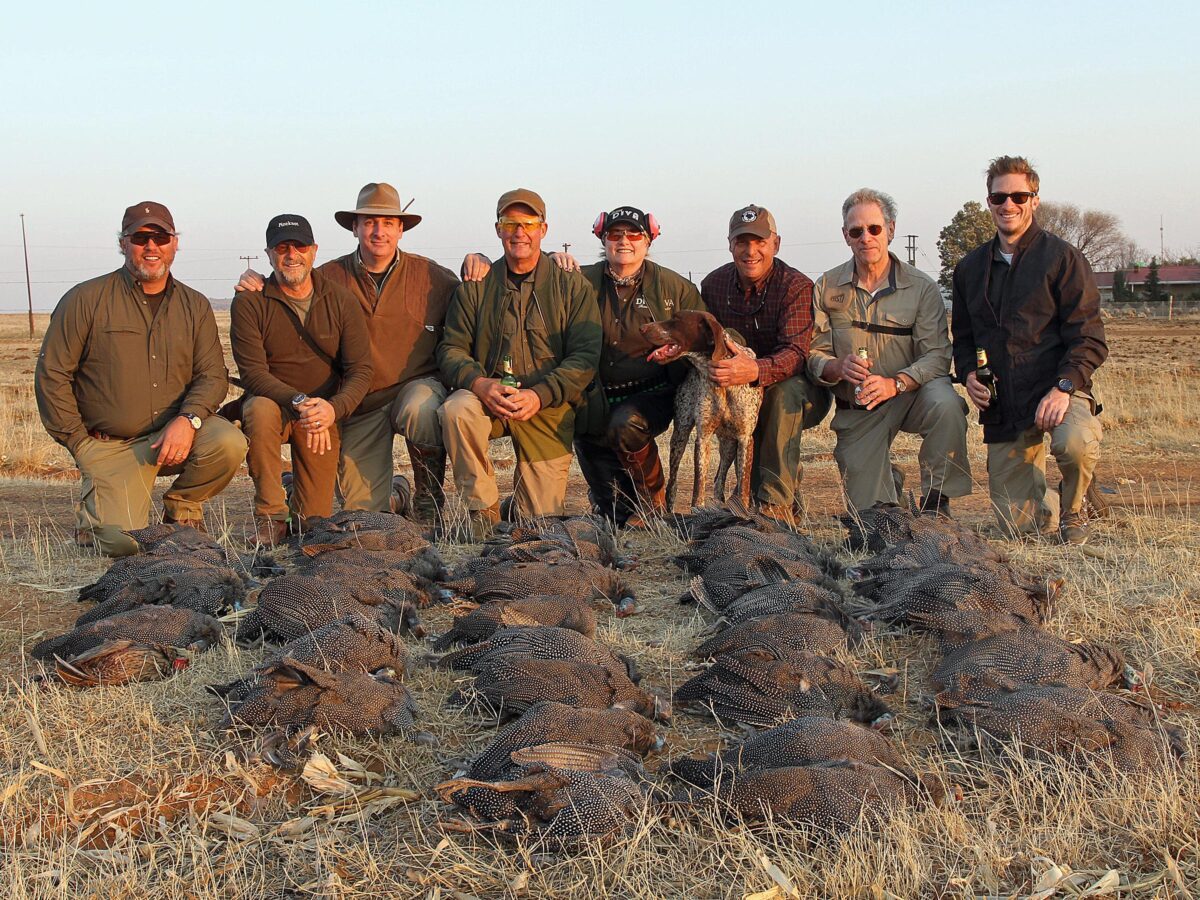 South Africa Bird Hunting