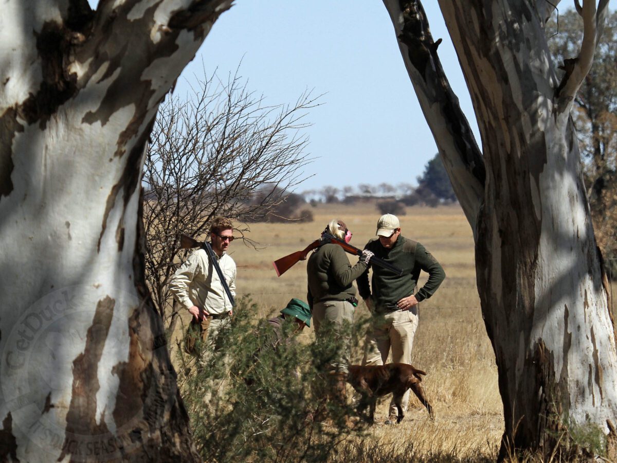 South Africa Bird Hunting