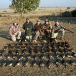 South Africa Duck Hunting