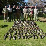 South Africa Duck Hunting