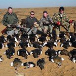 South Africa Goose Hunting