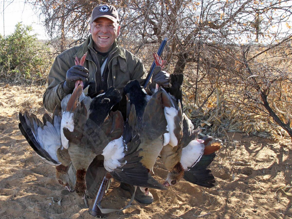 South Africa Goose Hunting