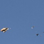 La Paz Argentina Dove Hunting