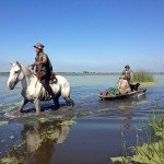 Rio Salado Argentina Duck Hunting