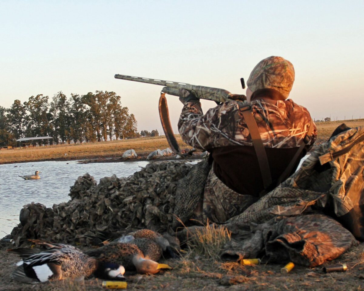 Argentina Duck Hunting