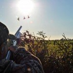 Rio Salado Argentina Duck Hunting