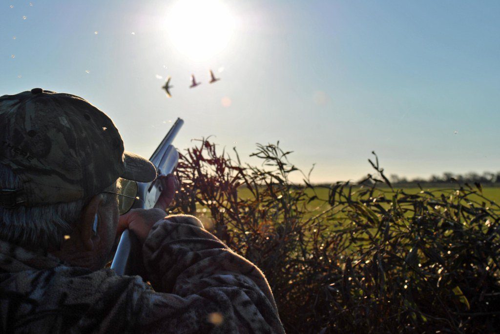 Rio Salado Argentina Duck Hunting