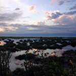 Rio Salado Argentina Duck Hunting