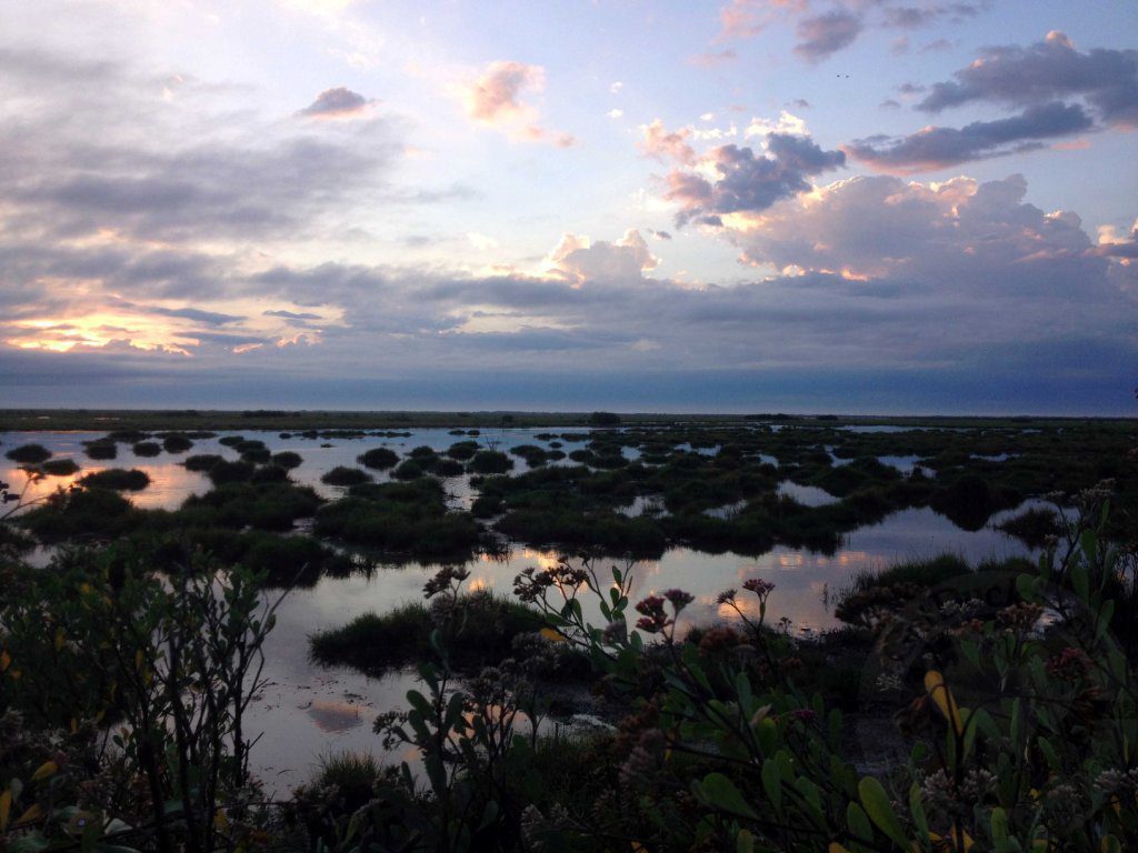 Rio Salado Argentina Duck Hunting