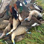 Rio Salado Argentina Duck Hunting