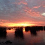 Rio Salado Argentina Duck Hunting
