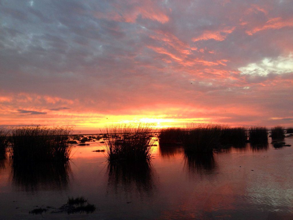 Rio Salado Argentina Duck Hunting