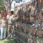 Rio Salado Argentina Duck Hunting