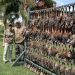 Rio Salado Argentina Duck Hunting