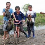 La Paz Argentina Duck Hunting