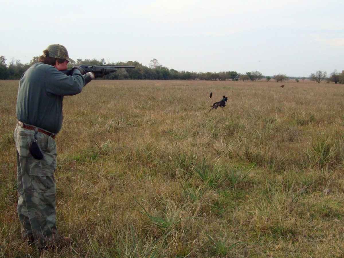 La Paz Argentina Duck Hunting