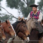 La Paz Argentina Hunting