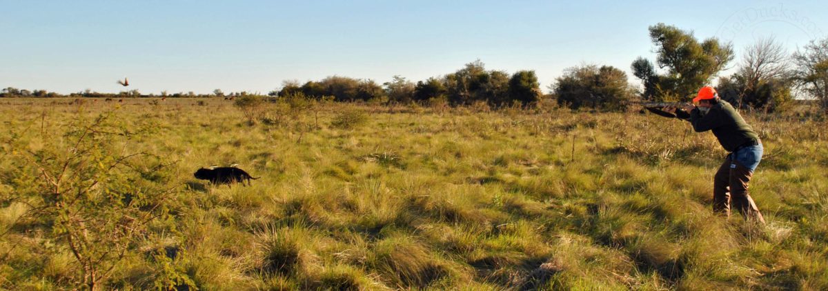 Rio Salado Argentina Perdiz Hunting