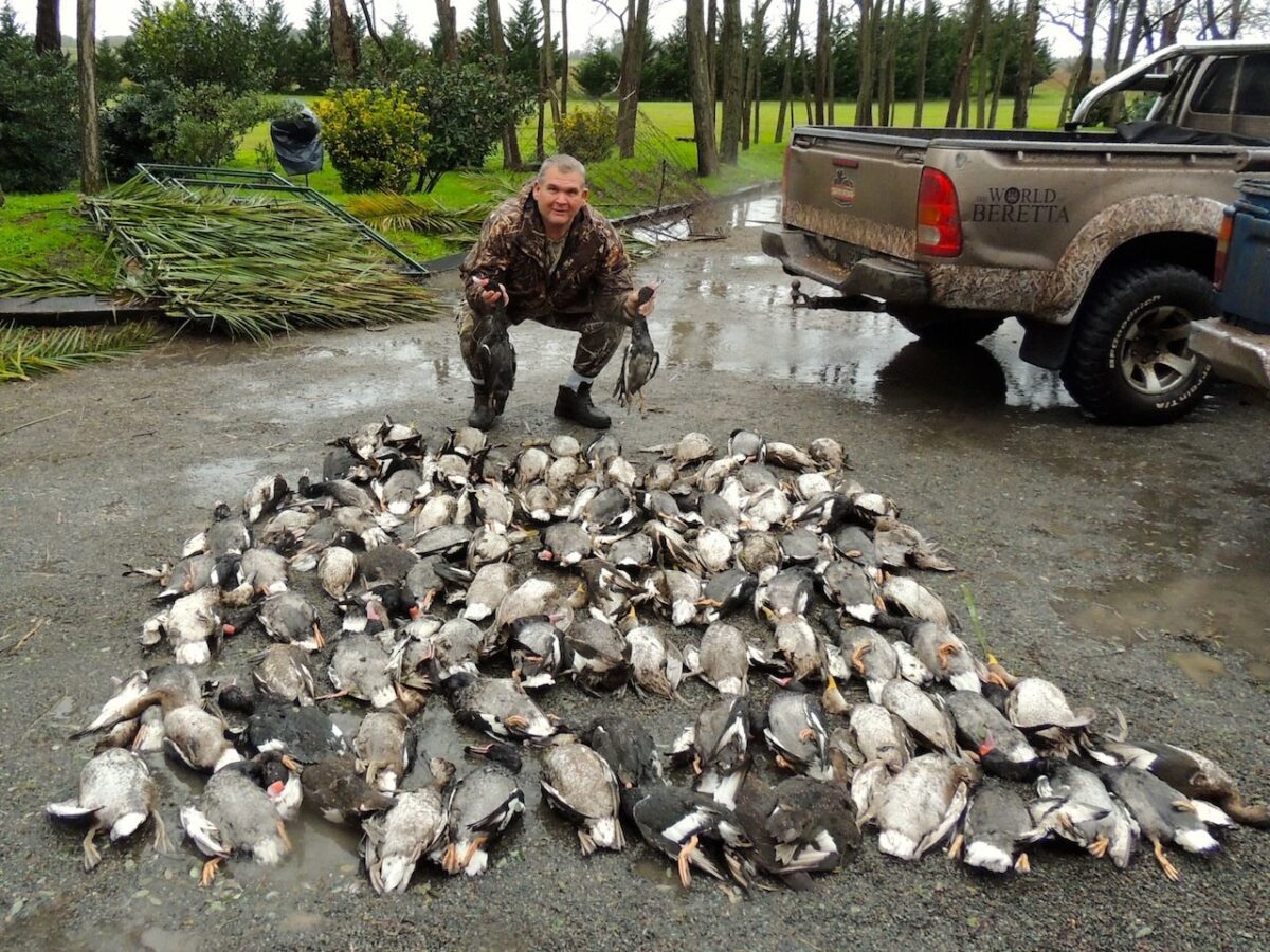 Las Flores Argentina Duck Hunting