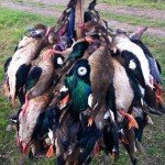 La Paz Argentina Duck Hunting