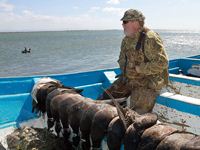 Baja Mexico Pacific Black Brant Hunting