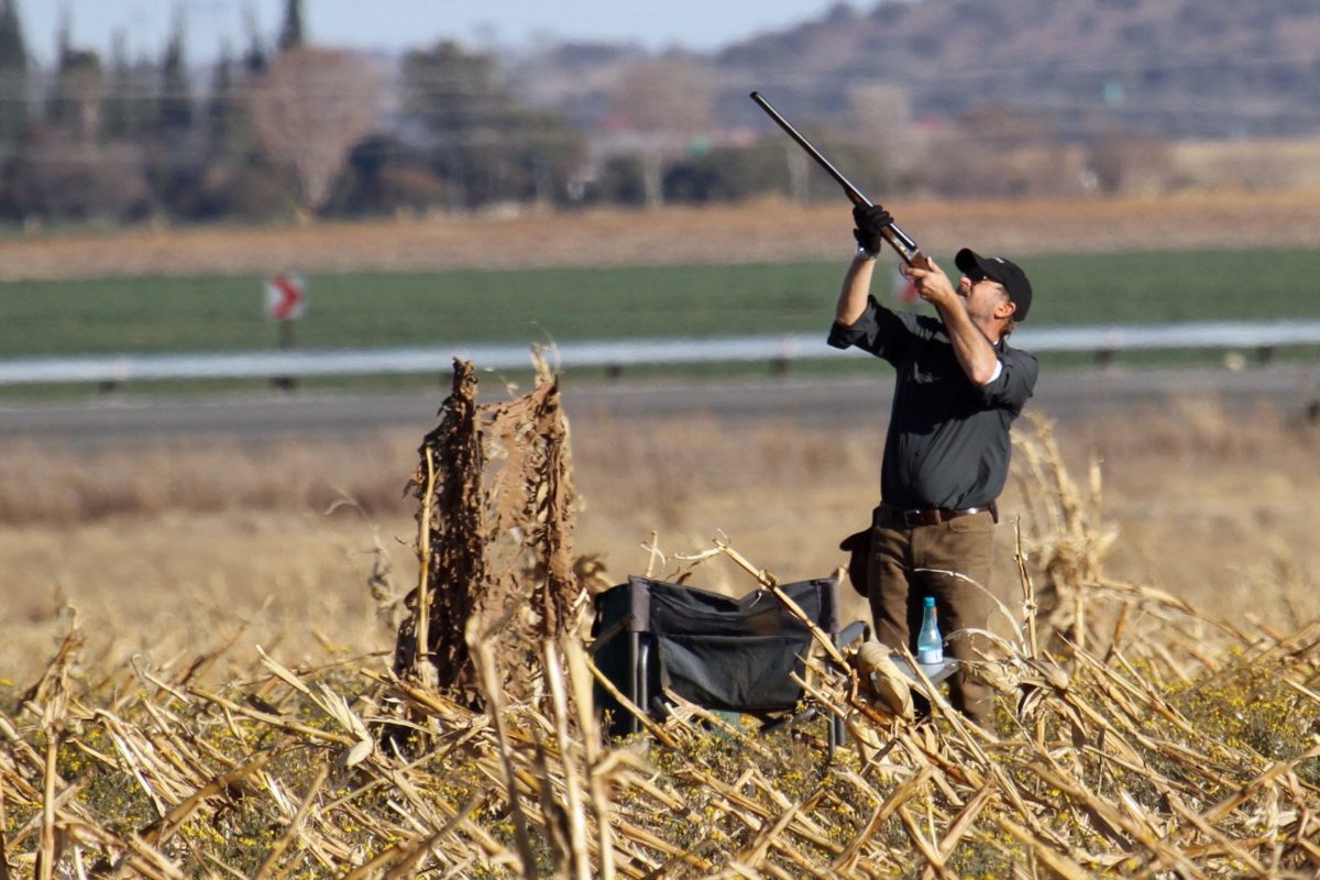 South Africa Bird Hunting