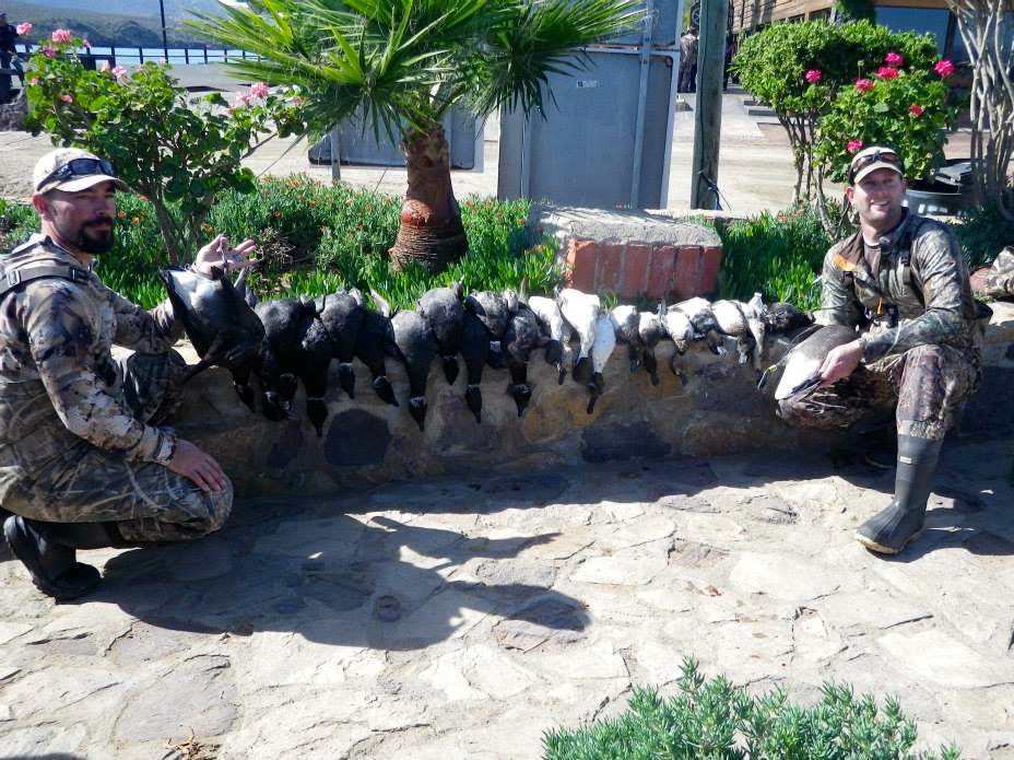 Baja Mexico Pacific Brant Hunting