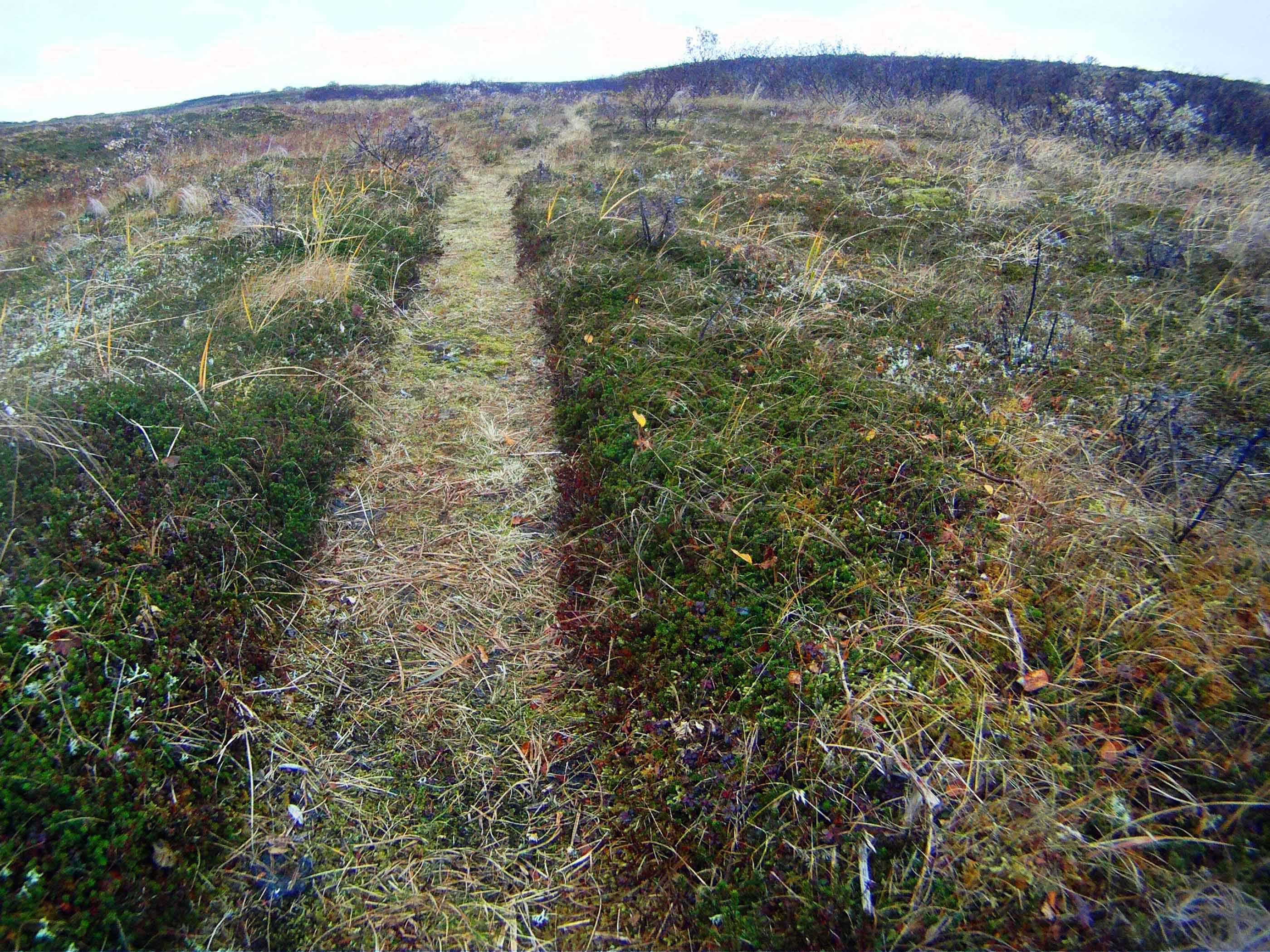 Cold Bay Alaska Duck Hunting Ramsey Russell's