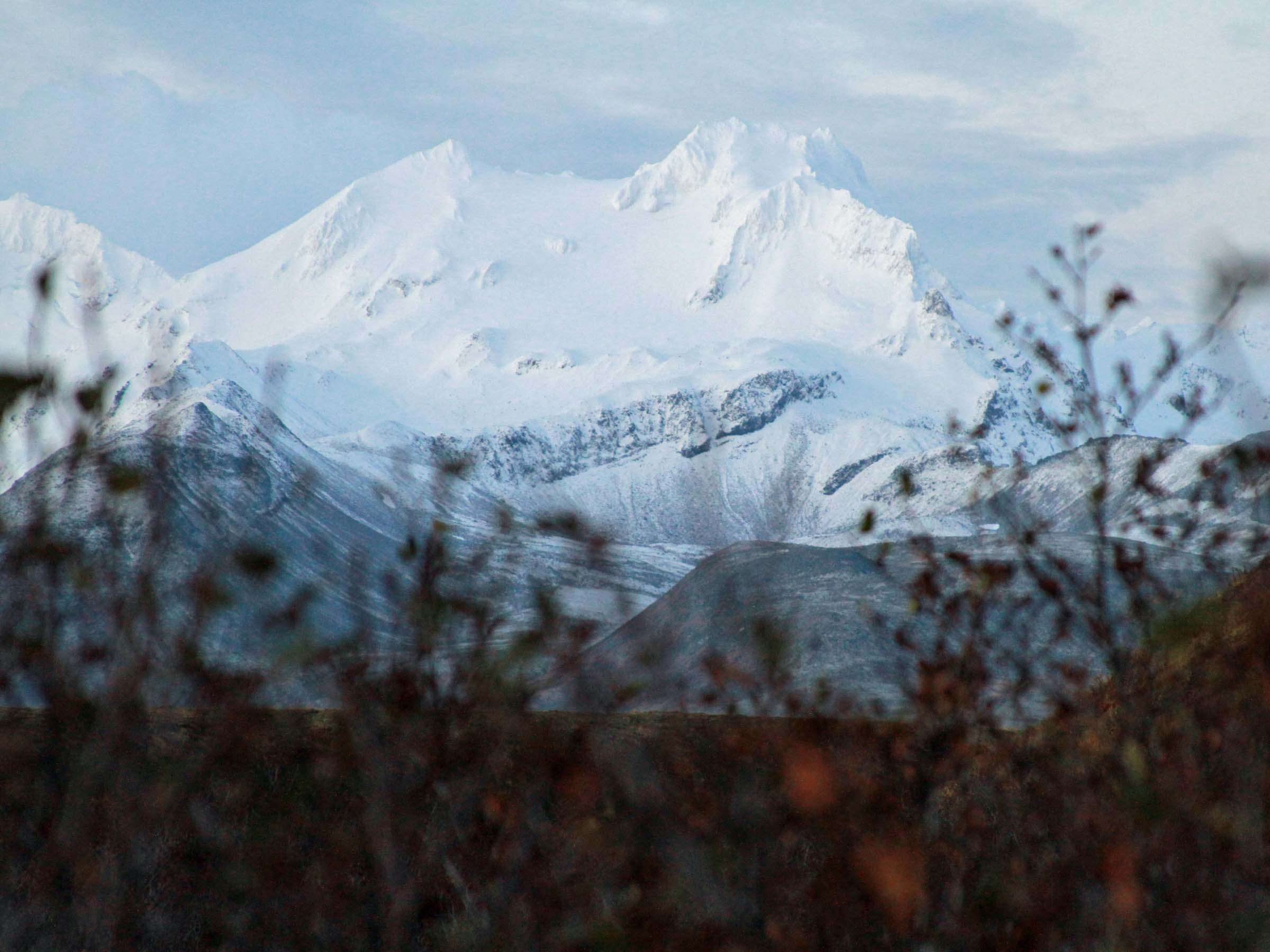 cold bay alaska hunting 9756 Ramsey Russell's