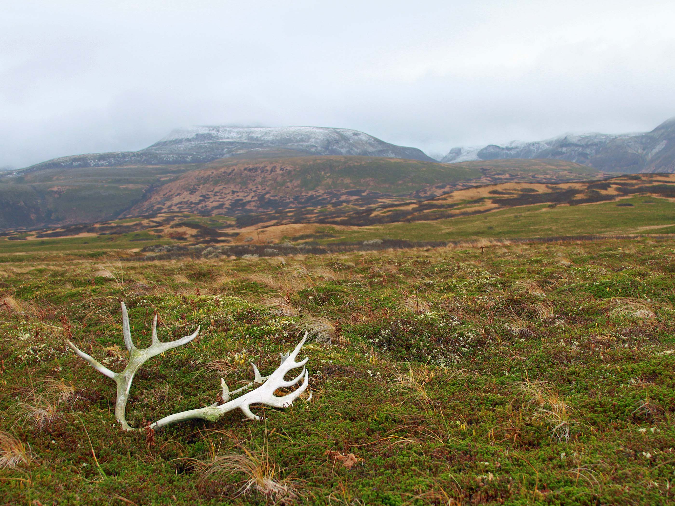 Cold Bay Alaska Duck Hunting Ramsey Russell's