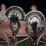 Durango Mexico Gould's Turkey Hunting