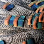 Mexico Ocellated Turkey Hunting