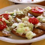 Mexico Ocellated Turkey Hunting