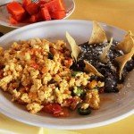 Mexico Ocellated Turkey Hunting