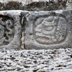 Mexico Ocellated Turkey Hunting