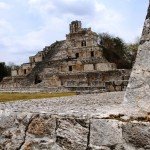 Mexico Ocellated Turkey Hunting