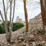 Mexico Ocellated Turkey Hunting