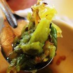 Mexico Ocellated Turkey Hunting