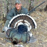 Gould's Wild Turkey Hunting