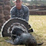 Gould's Wild Turkey Hunting