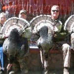 Gould's Wild Turkey Hunting