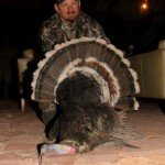 Gould's Wild Turkey Hunting