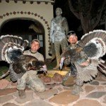 Gould's Wild Turkey Hunting