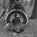 Gould's Wild Turkey Hunting