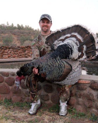 Gould's Turkey Hunting