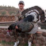 Gould's Wild Turkey Hunting