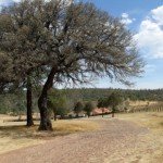 Gould's Wild Turkey Hunting Lodge