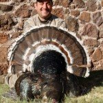 Gould's Wild Turkey Hunting