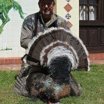 Gould's Wild Turkey Hunting